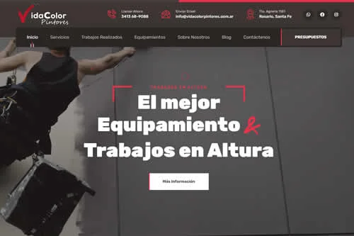 Vidacolor Pintores
